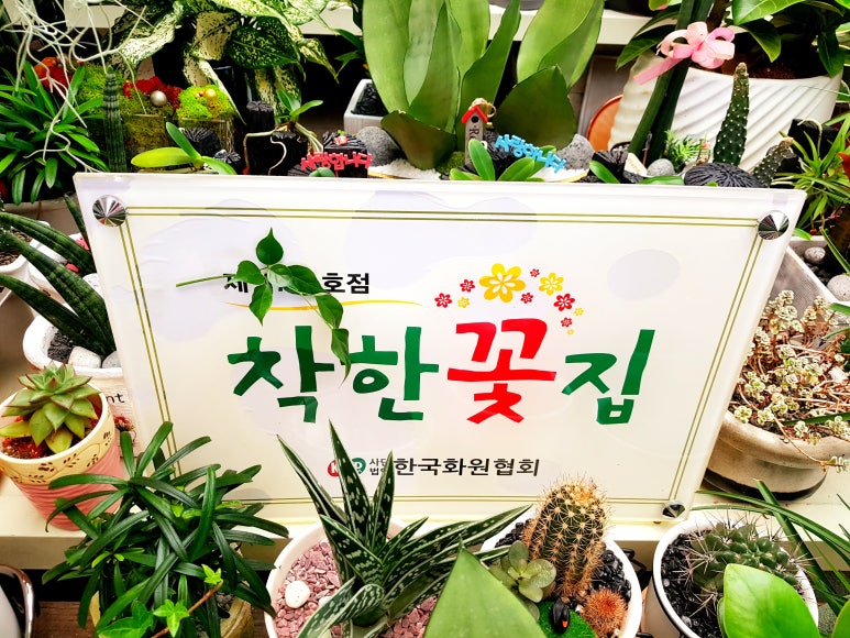 완주꽃배달써비스 이미지