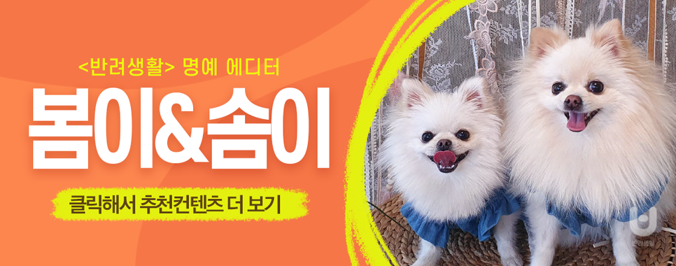 봄이 식당 이미지