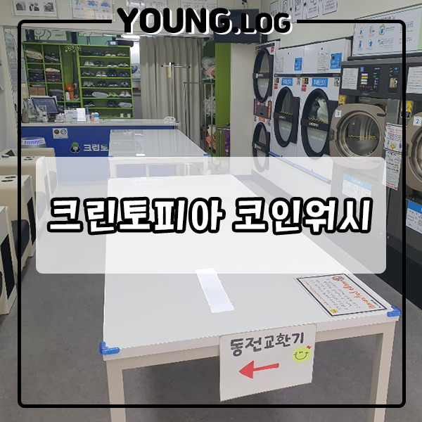 크린토피아코인워시대전 이미지