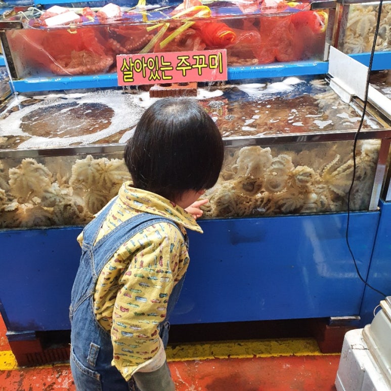 찬영수산 이미지