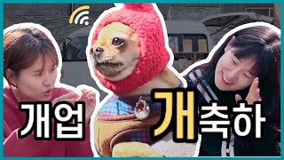 북다마스 이미지