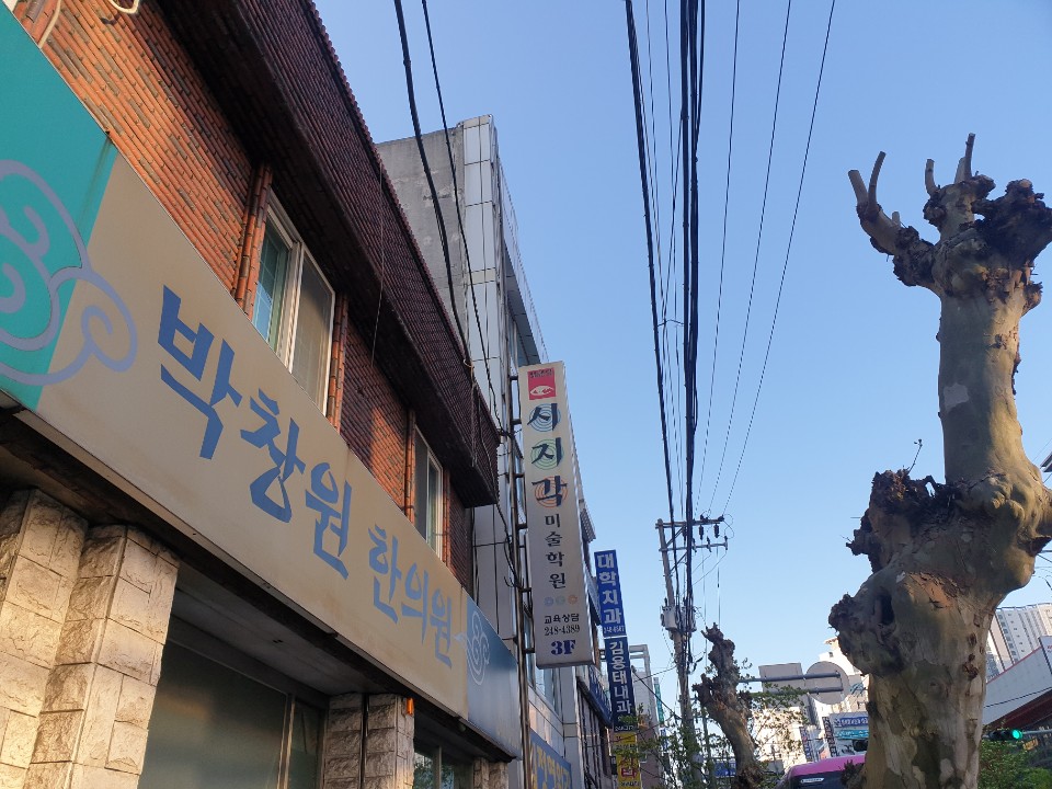 세일정형외과 이미지
