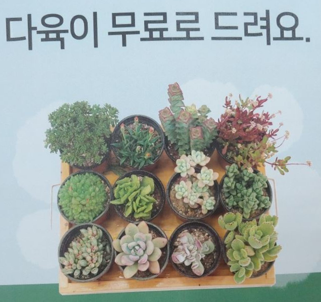 세원세탁소 이미지