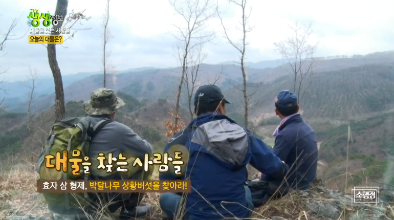 웰빙약초마을 이미지