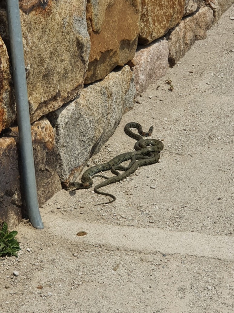 필복권방 이미지