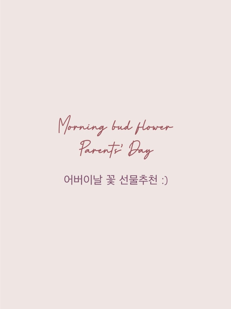 모닝버드 이미지