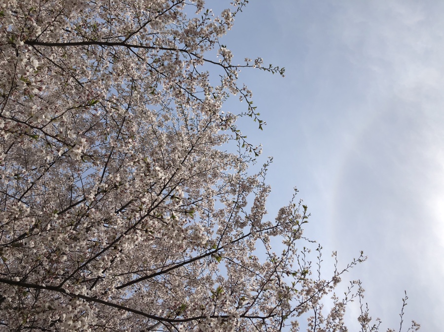 띵크온스튜디오 이미지