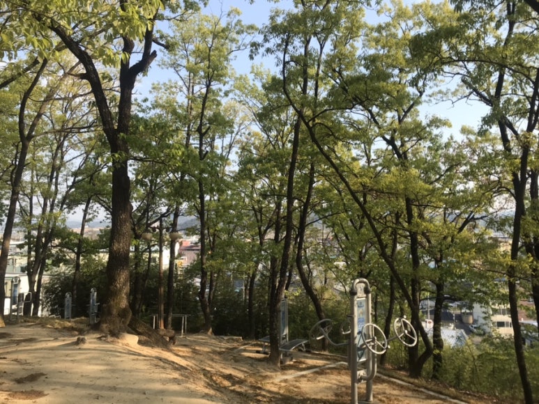 비봉산주유소 이미지