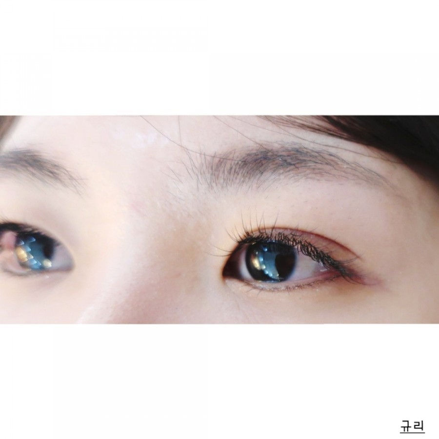 눈에꽃피다 이미지