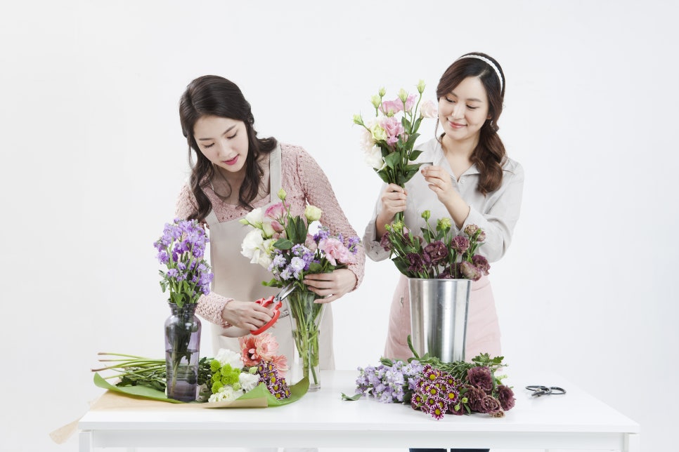 드림잡스쿨 이미지