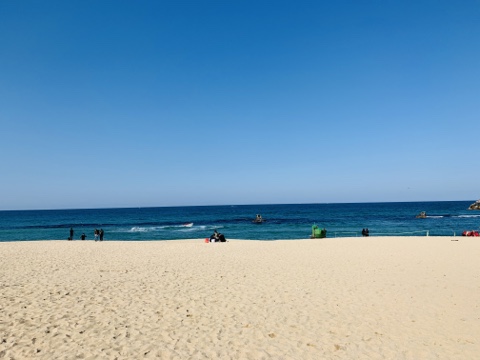 송정해변막국수 이미지