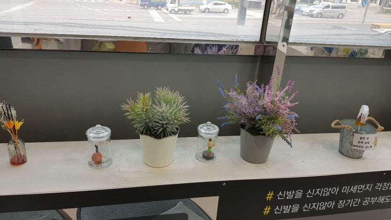 카페금천 이미지