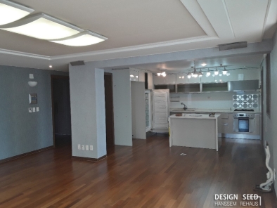 디자인시드 이미지