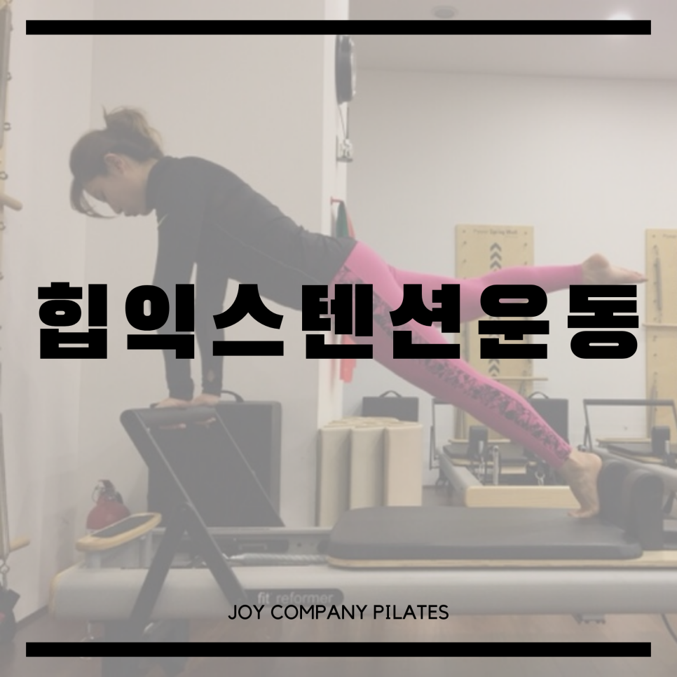 힙플조이 이미지