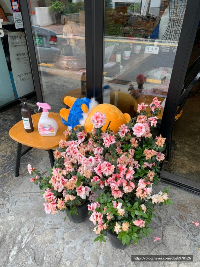 개미식당 숙성통삼겹 이미지
