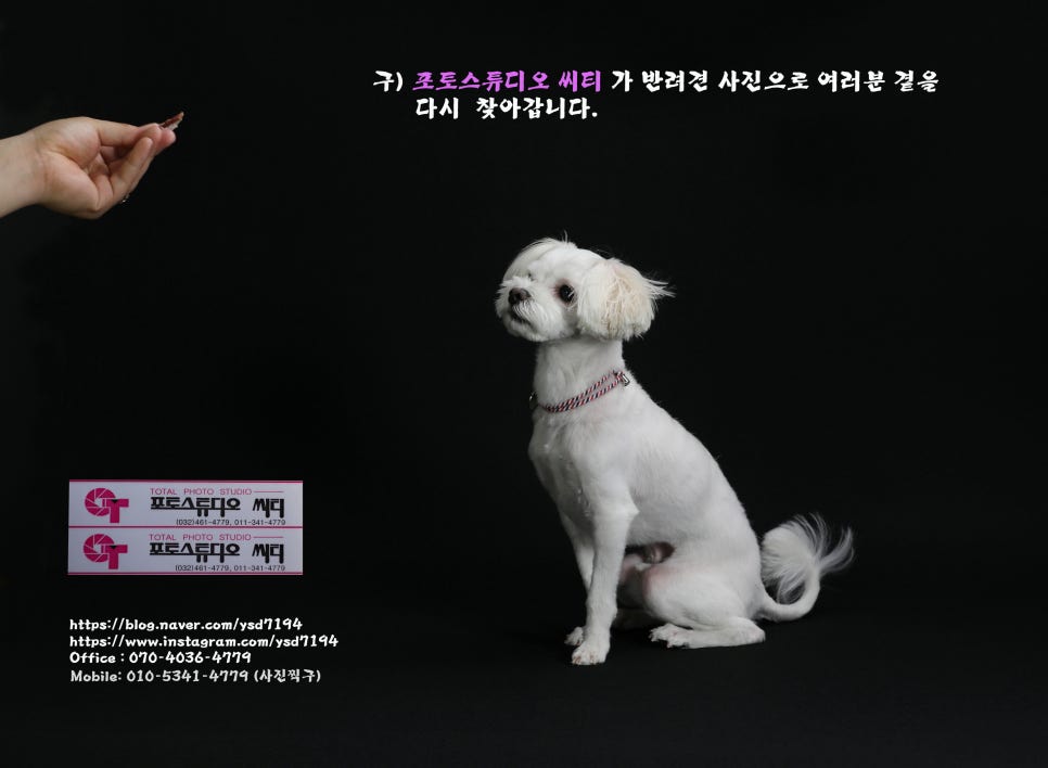 포토스튜디오씨티 이미지