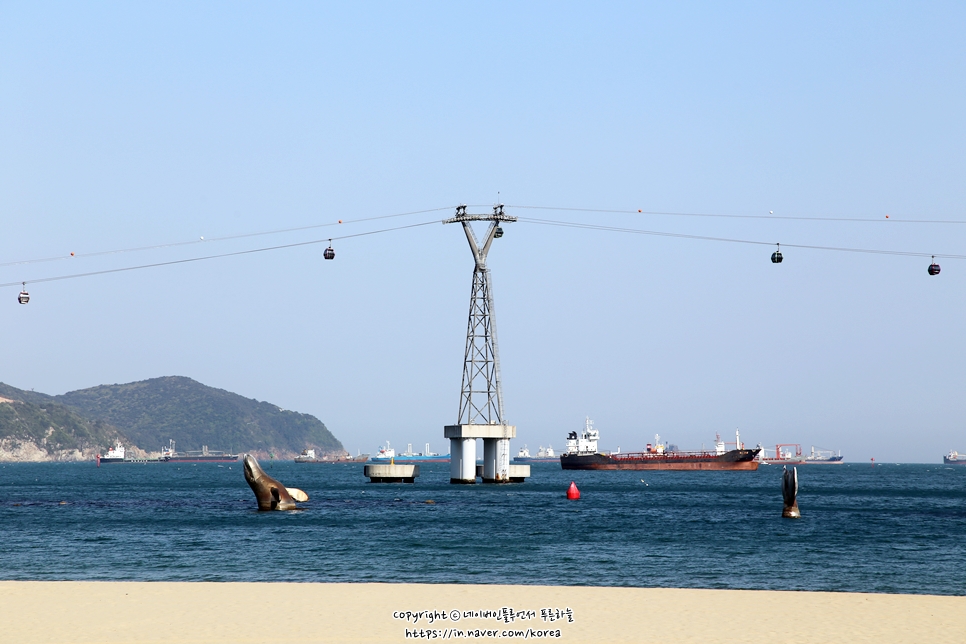 산드라니 이미지