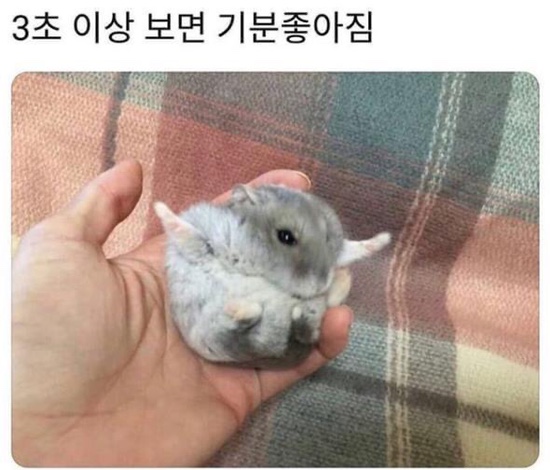 나인카페 이미지