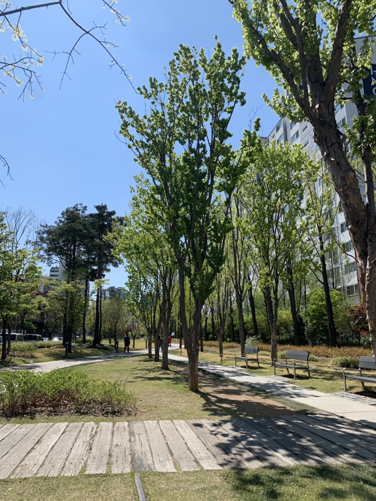 숲길 이미지
