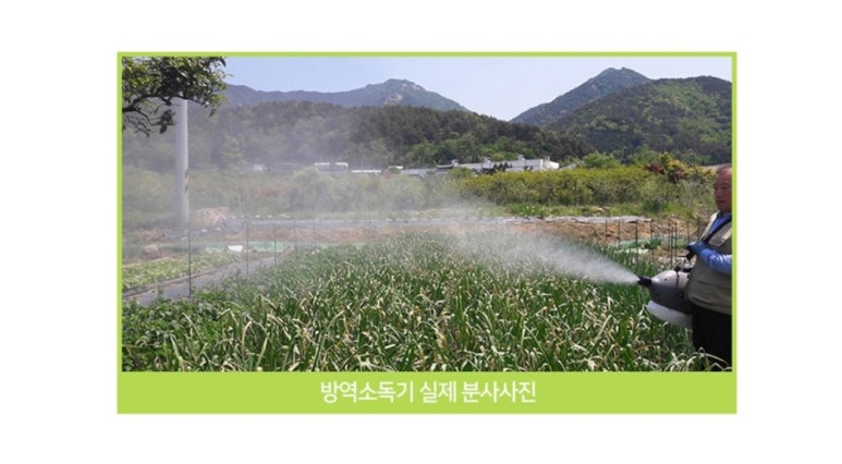 주은컴퍼니 이미지