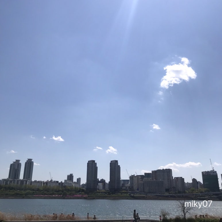 비에이치씨한강뚝섬 이미지