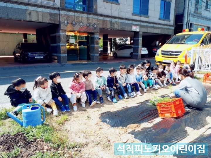 피노키오어린이집 이미지