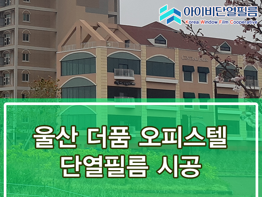 더품 이미지