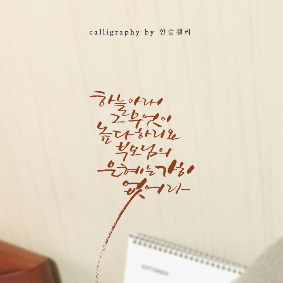 안승캘리 이미지