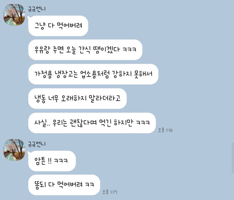 규스트링 이미지