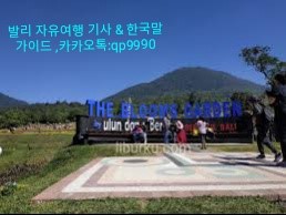 더 블룸 이미지