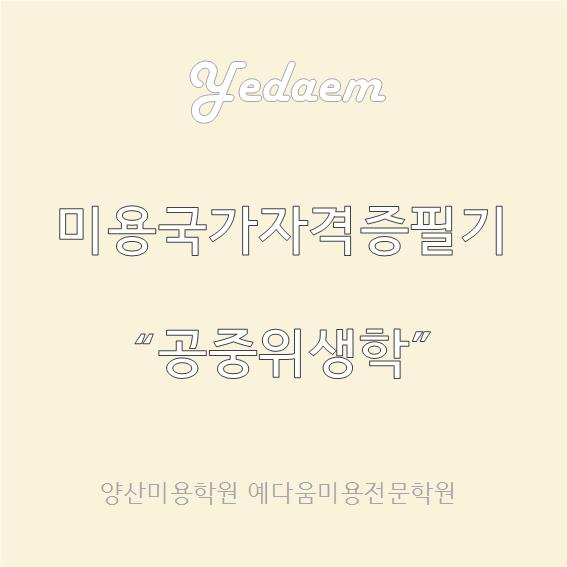 헤어 예다움 이미지