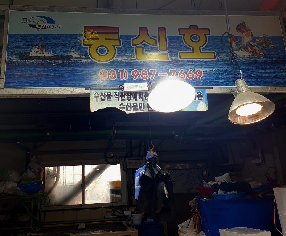 동신호 이미지