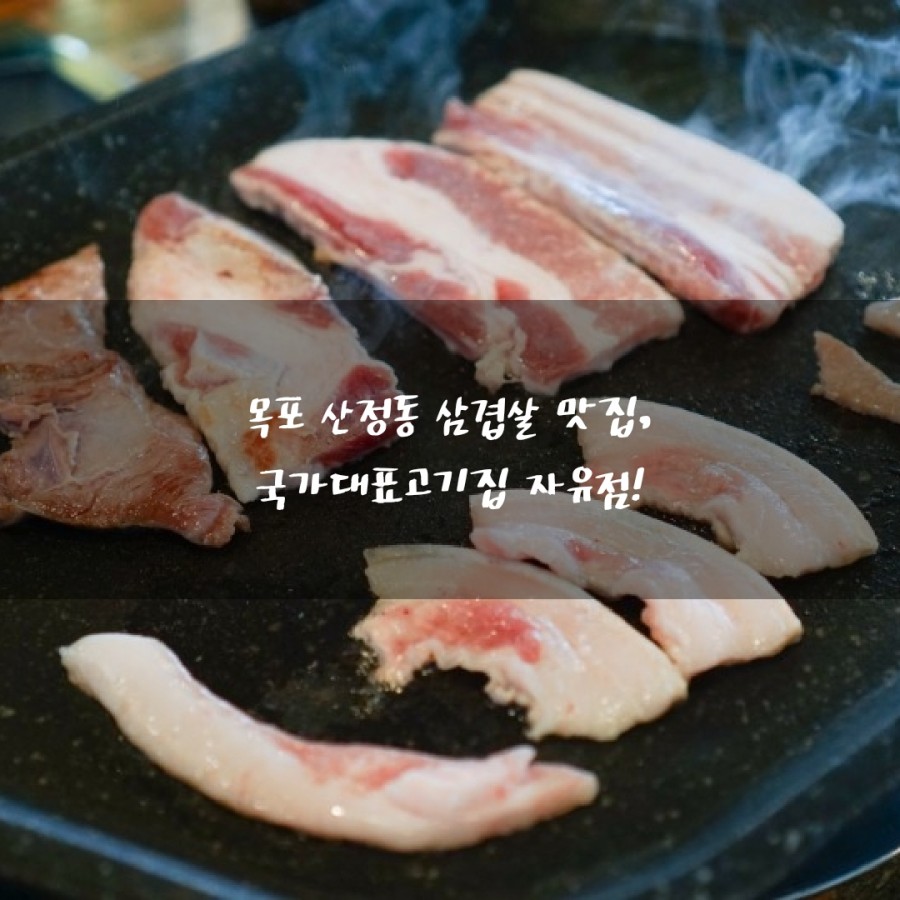 국가대표자유점 이미지