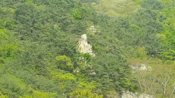수옥 이미지