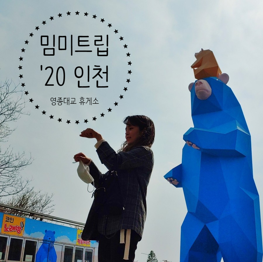 대교미트 이미지