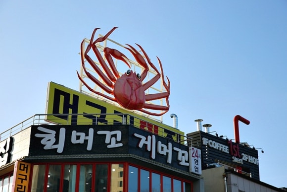 머구리 이미지