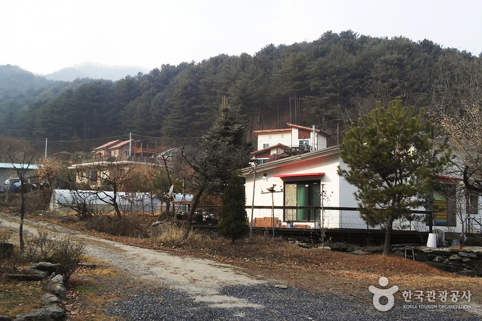(사)정보화마을중앙협회 이미지