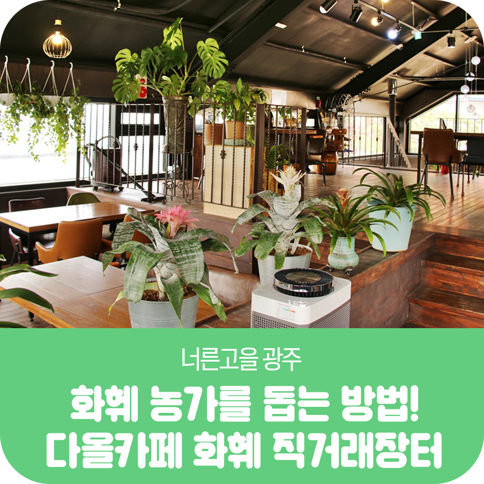 다올장터 이미지