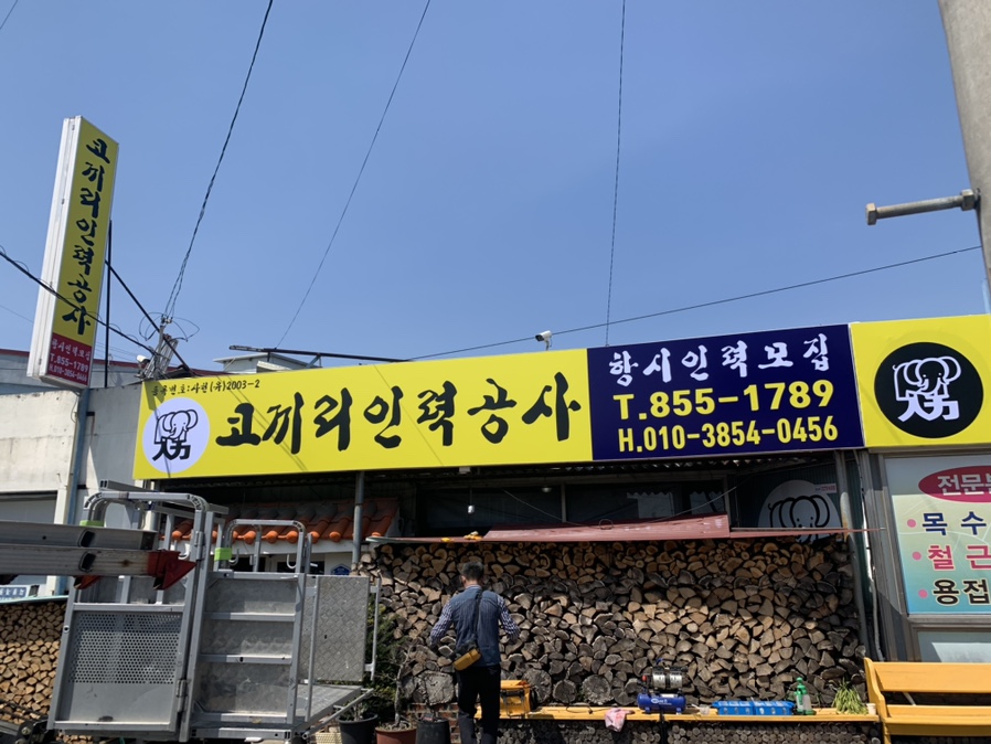 코끼리인력공사 이미지