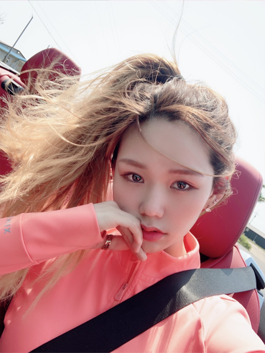 플렉스카 이미지