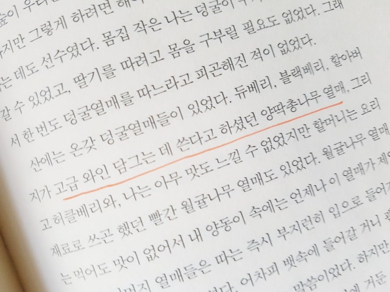 그린다이닝 이미지