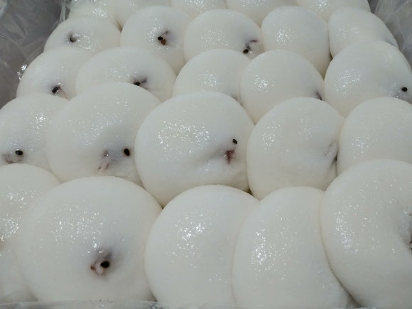 송화잔기지떡충주 이미지
