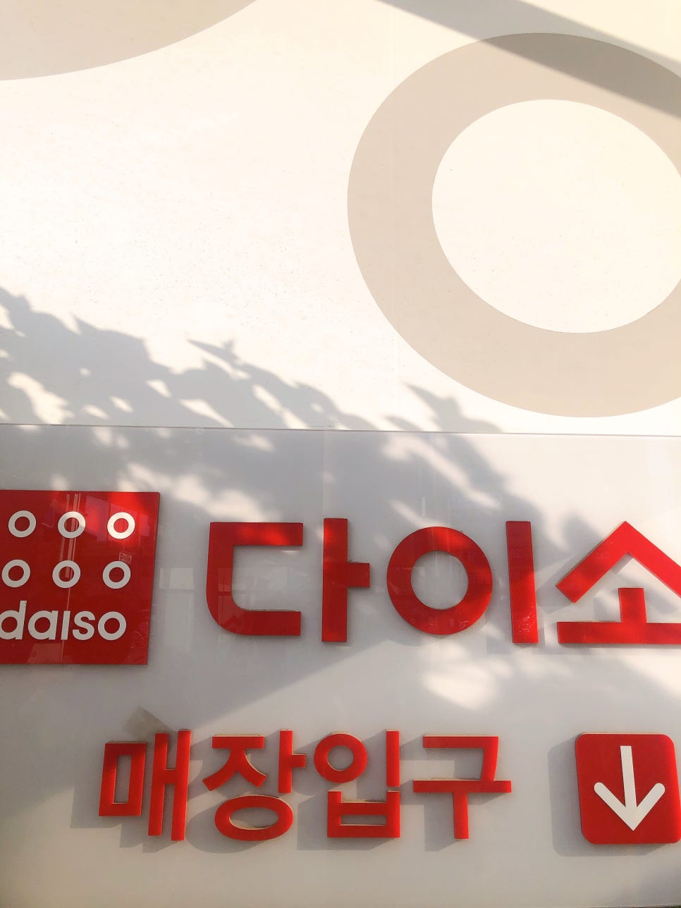 다이소아주대 이미지