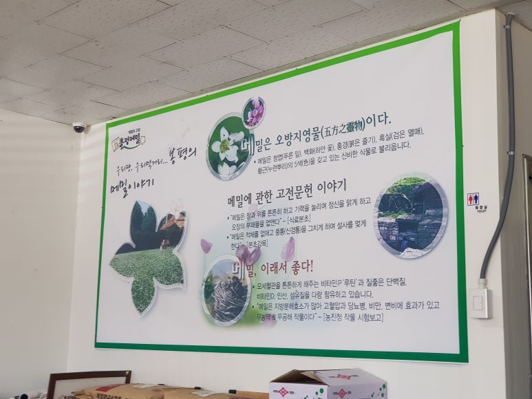 김박사 봉평막국수 이미지