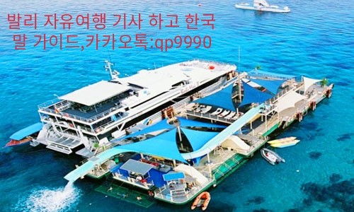 하이크루즈 이미지
