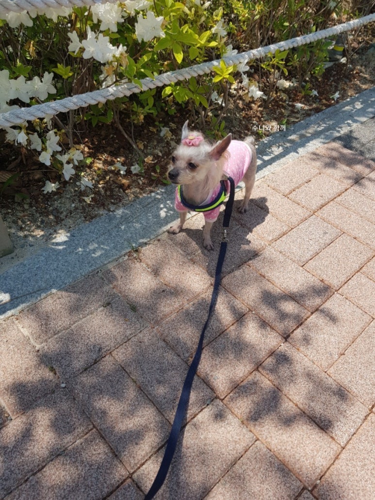 수니인테리어 이미지
