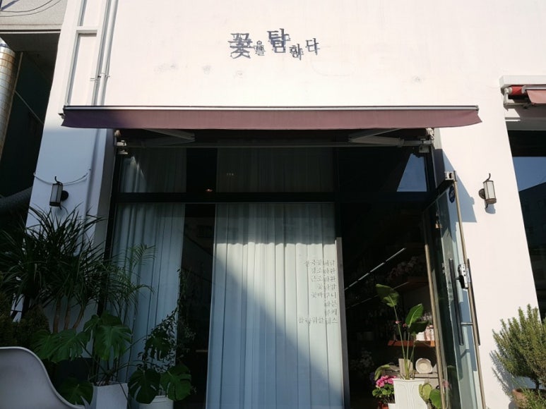 꽃탐꽃을탐하다 이미지