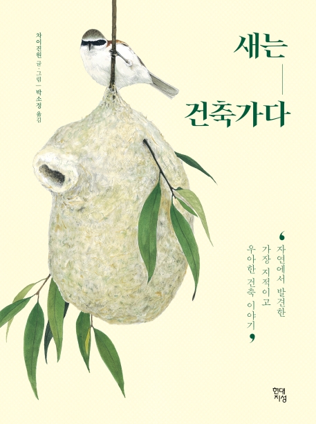주원피드 이미지