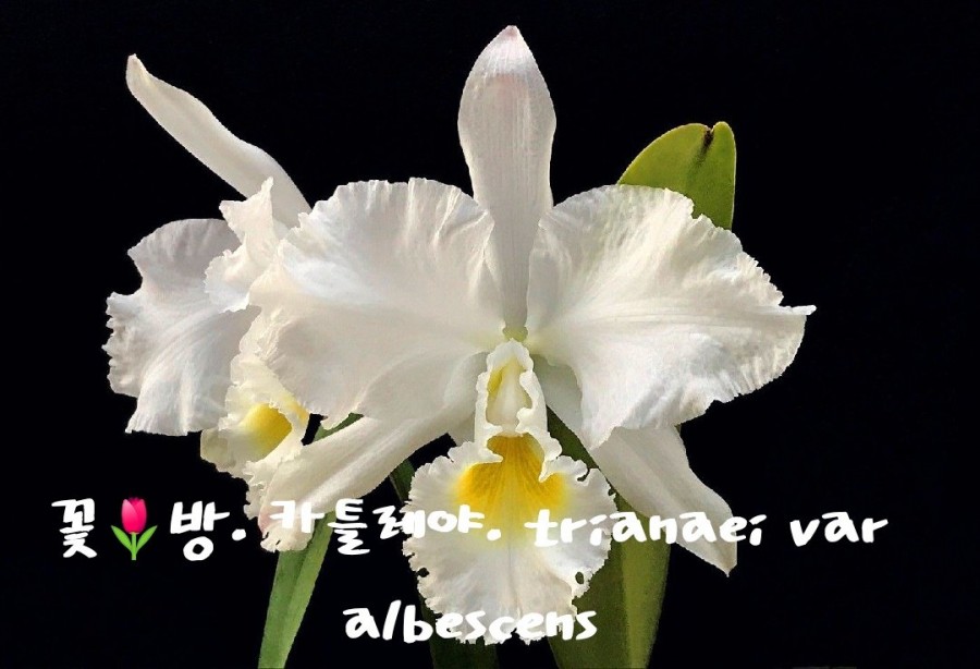 석곡농협 하나로마트 이미지