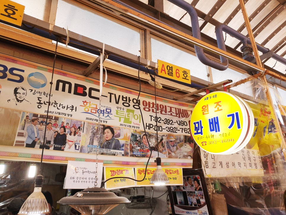 원꽈배기 이미지